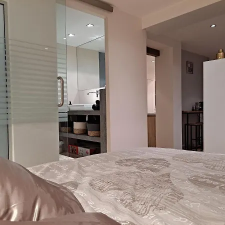 Boigne Sweet Apartment Chambery